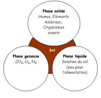 Différentes phases d'un sol