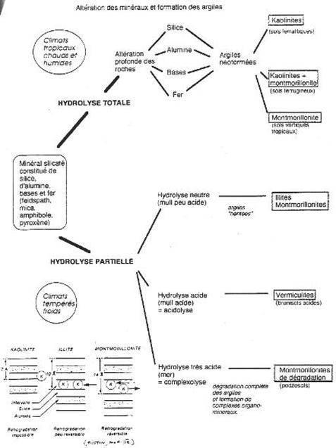 Altération et minéraux et formation des argiles