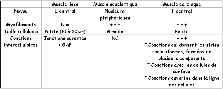 présentation en tableau de tissu musculaire