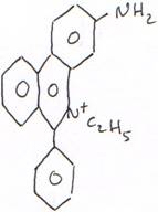 colorants