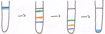 Centrifugation zonale et gradient