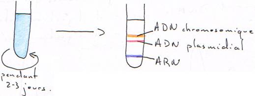 centrifugation particulière