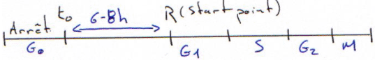 Programme d'expression génique : transcription précoce ou tardive