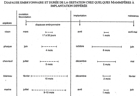 pourquoi la nidation échoue