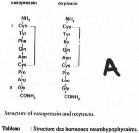 Formule vasopressine et ocytocine