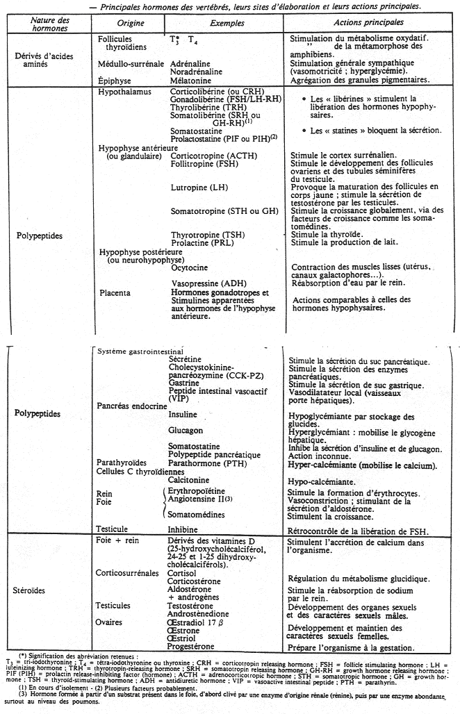 Principales hormones des vertébrés, leurs sites d'élaboration et leurs actions principales