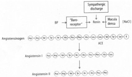 Excrétion de sodium