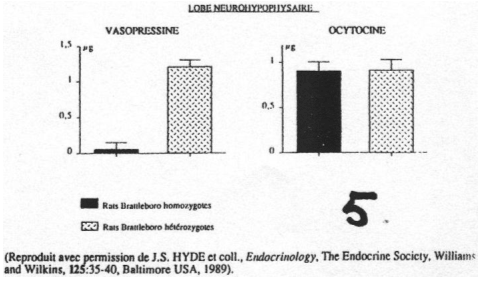 Difficulté de synthèse d'ADH de vasopressine