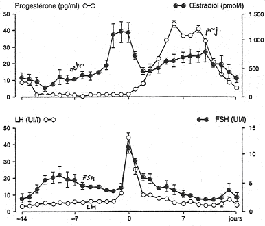 Sécrétions hormonales en oestradiol, progestérone, FSH et LH