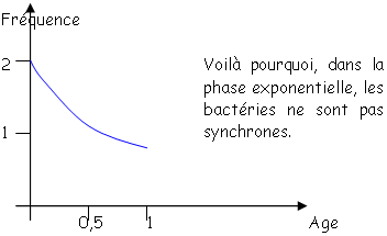 Phase stationnaire, courbe de croissance