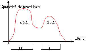 Quantité de protéine