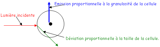 Principe de la cytométrie de flux