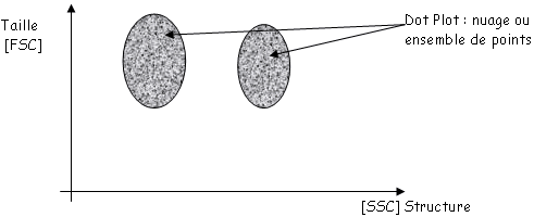 Principe de la cytométrie de flux