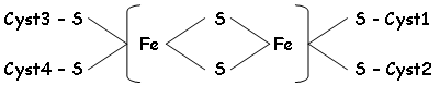 Protéines à fer non hémique (FeNH) ou protéines Fer-Soufre (F-S)