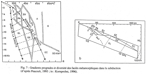 Représentation des gradients progrades