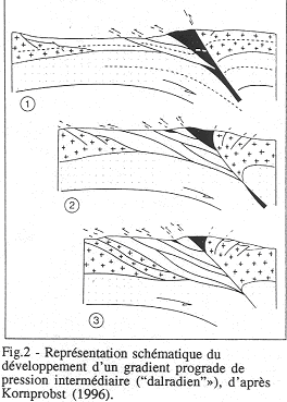 Représentation schématique du développement d'un gradient prograde de pression intermédiaire