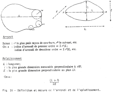 Morphométrie des grains