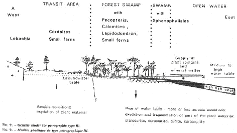 représentation schématique d'une zone propice à la formation de charbon / d'hydrocarbure