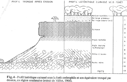 Profil latéritique cuirassé de foret ombrophile