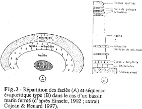 Répartition des faciès et séquence évaporitique dans le cas d'un bassin fermé