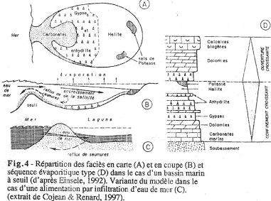 Répartition des faciès en carte et en coupe et séquence évaporitique type dans le cas d'un bassin marin