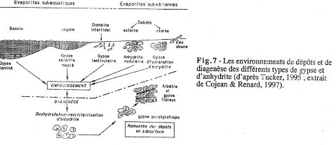 Environnements de dépots et de diagenèse des différents types de gypse et d'anhydrite