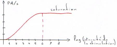 Courbe de la fréquence des potentiels d'action en fonction de l'intensité de la stimulation