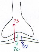 Filtration du plasma