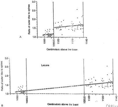 Evolution de l'ornementation d'individus montrant la séparation en deux espèces différentes