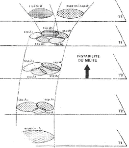 Modèle de chaine des sous-espèces