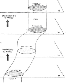 Spéciation sympatrique et anagenèse