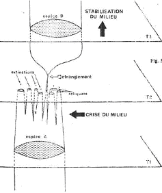 Spéciation par étranglement