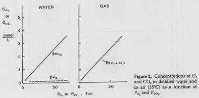 Concentration d'O2 et de CO2 dans l'eau distillée / dans l'air
