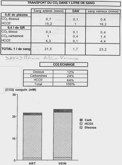 Transport du CO2 dans un litre de sang