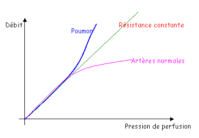 Evolution de la résistance avec la circulation pulmonaire