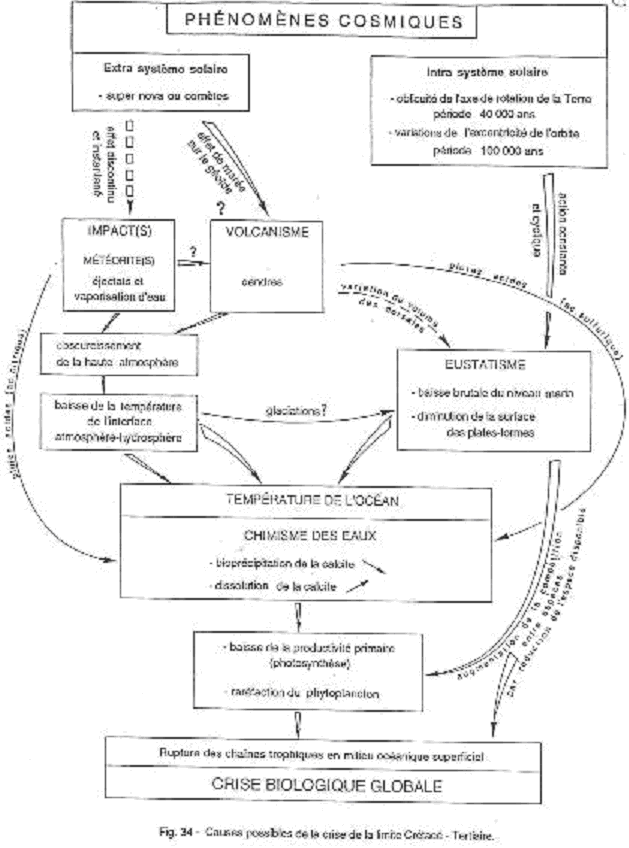 Schéma des causes possibles de la crise du Crétacé-Tertiaire