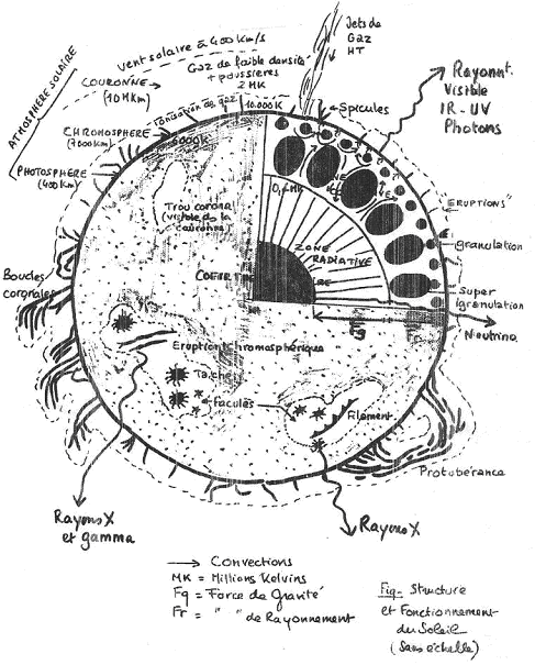 Schéma de la structure et du fonctionnement du soleil (sans échelle)