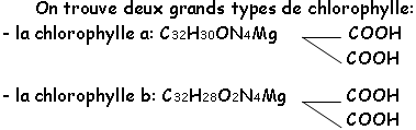 Formules des chlorophylles a et b