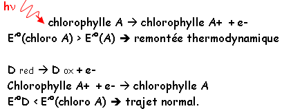 Utilisation de l'énergie lumineuse pour la nutrition carbonée