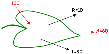 Effet de l'éclairement sur la feuille