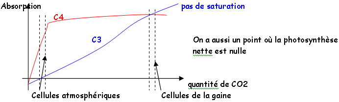 Absorption des C3 et des C4 en fonction de la quantité de CO2