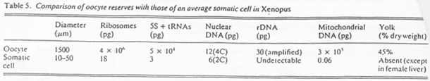 Comparaison d'ovocytes