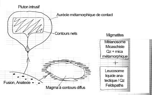 Migmatisation et Anatexie