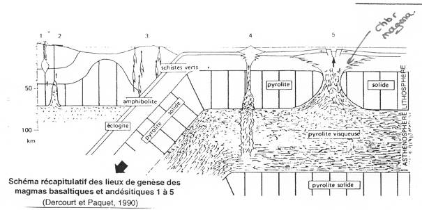 Schéma récapitulatif des lieux de genèse des magmas basaltiques andésitiques 1 à 5