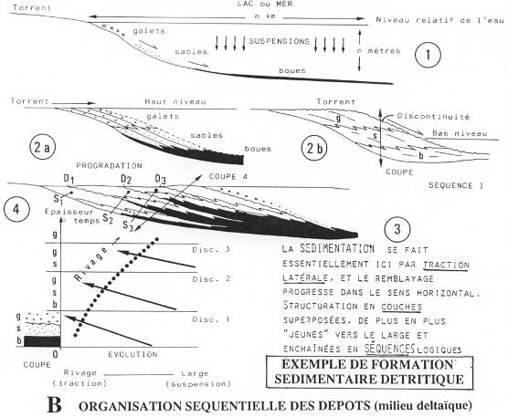 Organisation séquentielle des dépôts (milieu deltaïque)