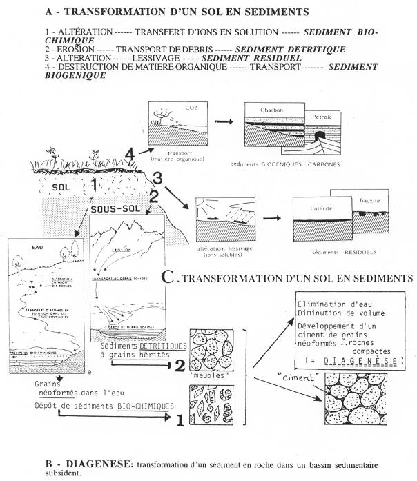 Transformation d'un sol en sédiments