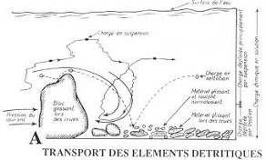 Transport des éléments détritiques