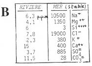 Eléments entre rivière et mer