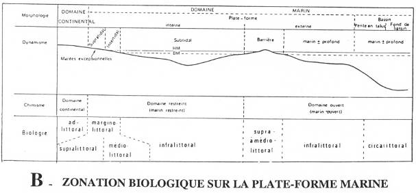 Zonation biologique sur la plate-forme marine