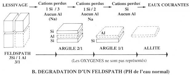 Dégradation d'un feldspath